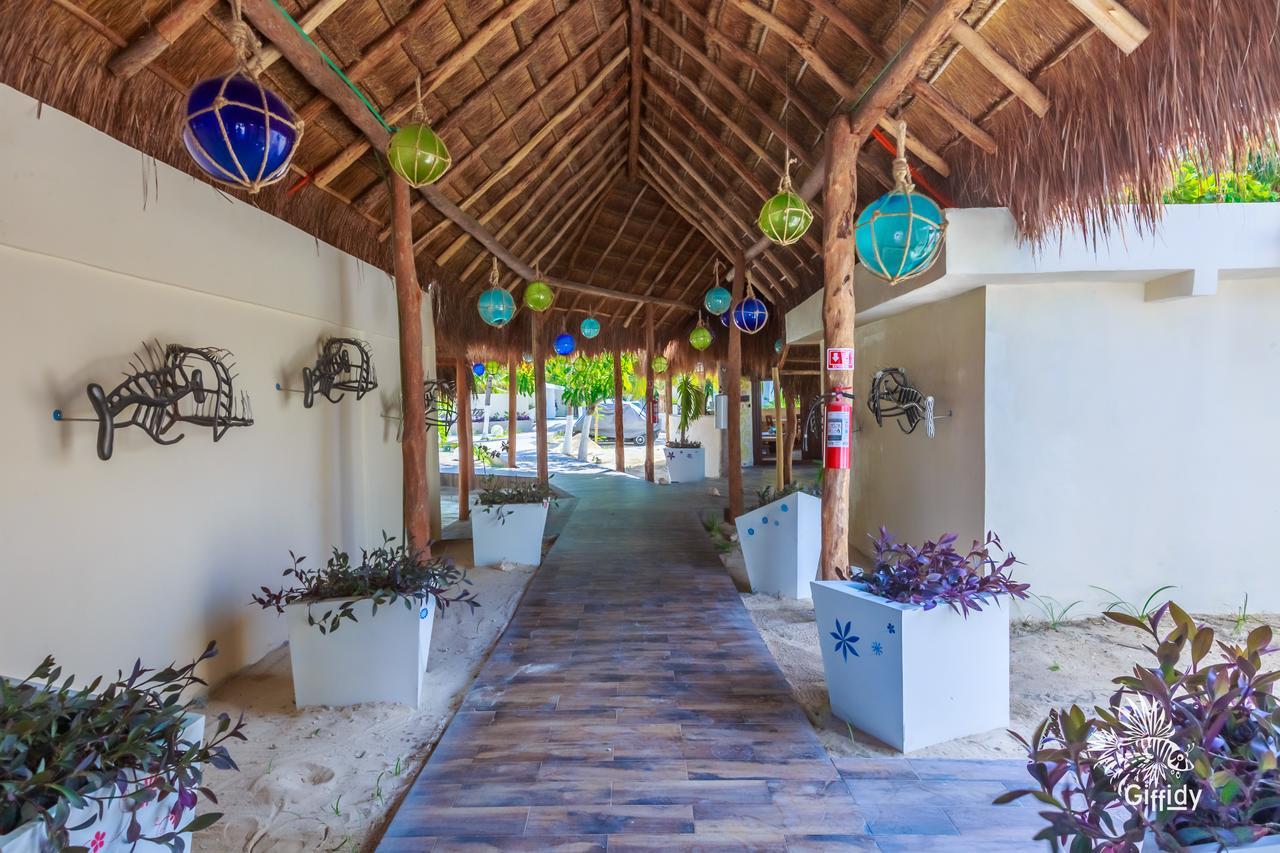 Hotel Paradise Suites Isla Mujeres Exterior foto